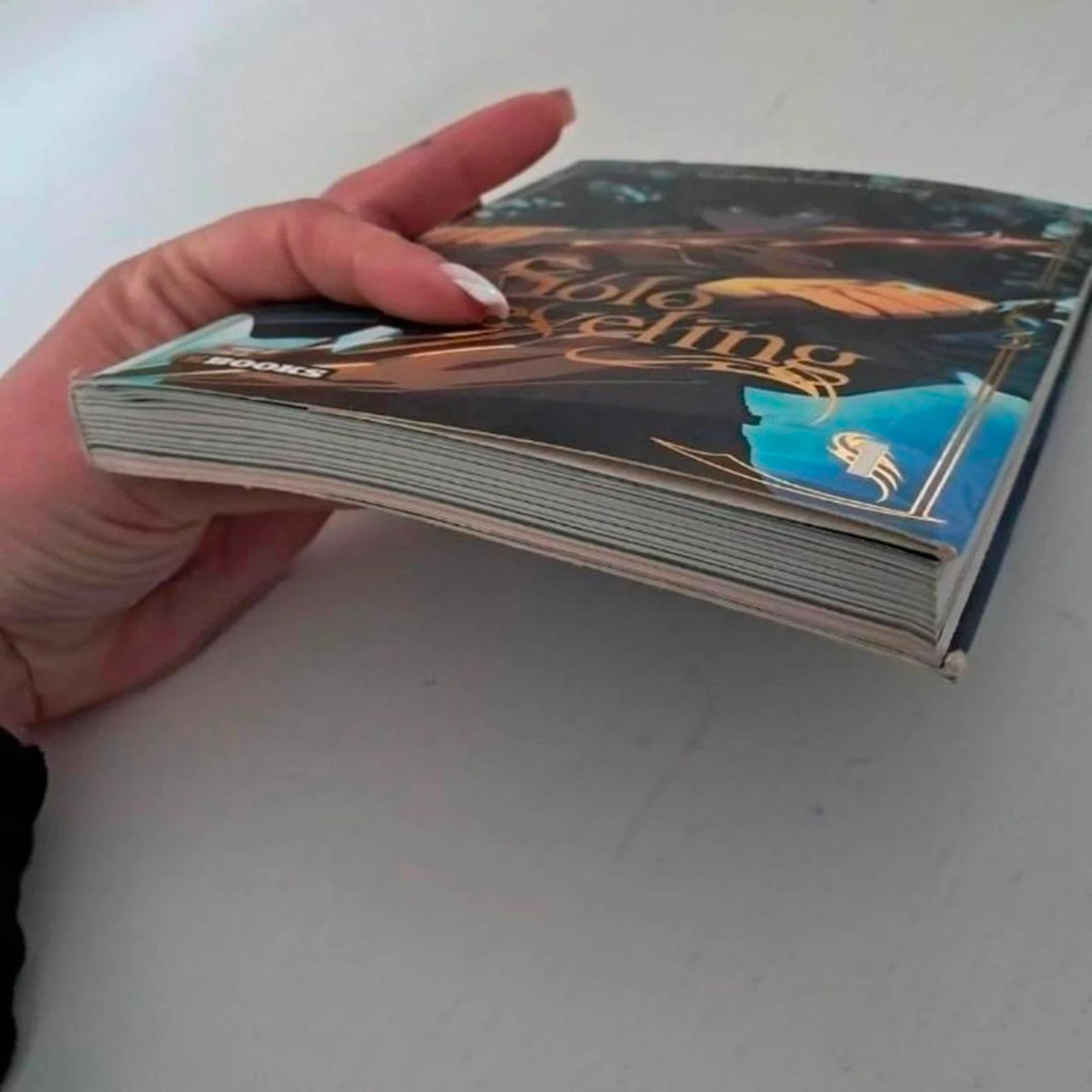Solo Leveling boek - Deel 1 – photo 2